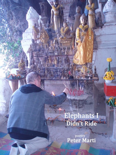 Elephants I Didn't Ride by Peter Marti. Published June 2012. 58 pages. 